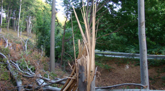 Hatalmas pusztítás a Mátrában (2007.07.23.)