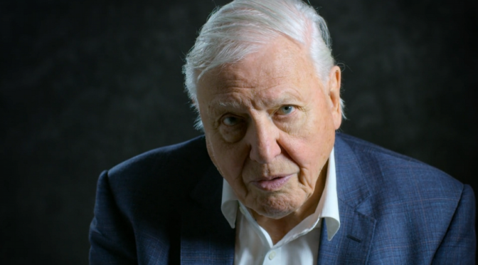 Attenborough: Nem romba döntöttük, hanem elpusztítottuk a világunkat