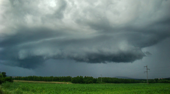 A két nappal ezelőtt lencse végre kapott cella testvére is felbukkant (2009.06.28.)