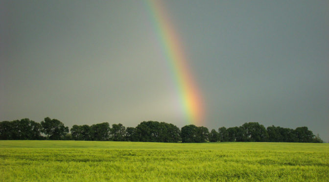 Légzuhatag és szivárvány (2010.05.25.)